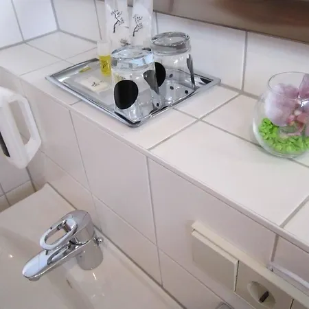 Ambassador-berlin Gruenau